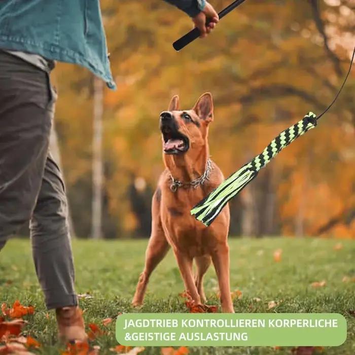 Jouet à mâcher pour chien résistant aux morsures