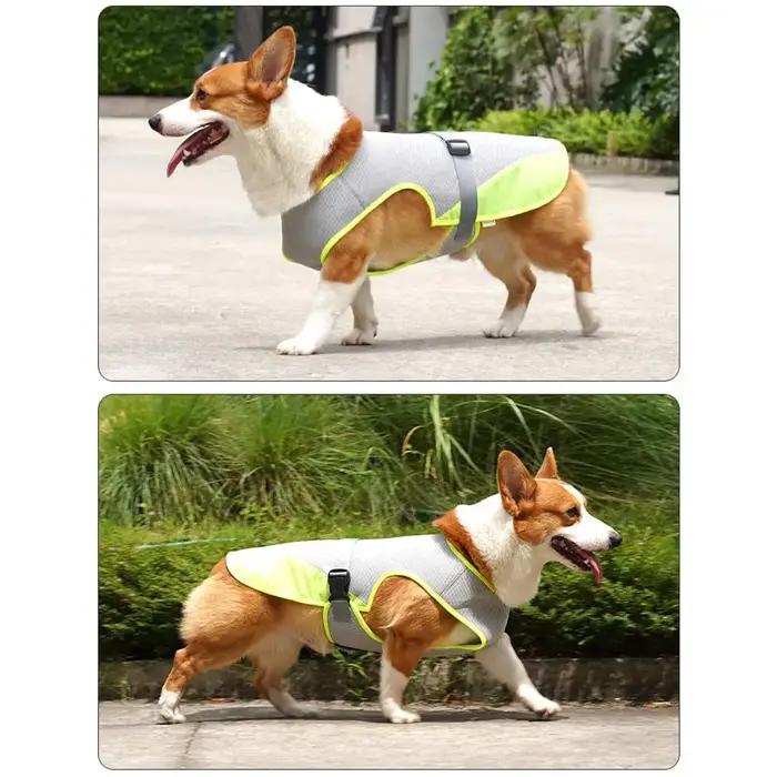 Gilet rafraîchissant pour chien pour l'été, avec protection contre la chaleur et protection solaire respirante, gilet rafraîchissant pour chien pour l'extérieur