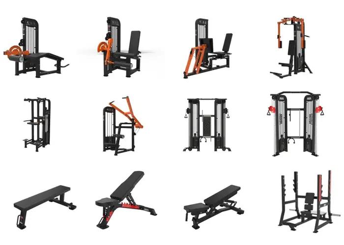 Support de boucles de bras de biceps pour l'entraînement de force de gymnastique commerciale Fitness Curl