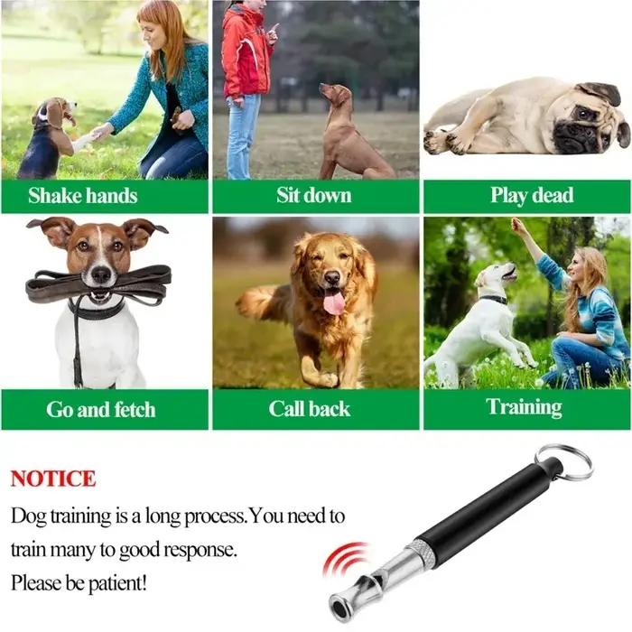 Sifflet dissuasion ultrasonique pour chien