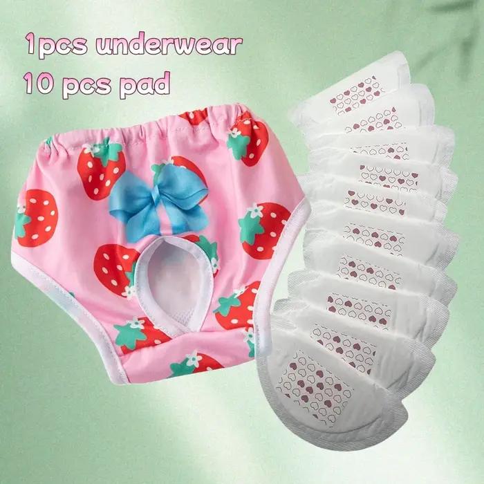 Culottes lavables pour chiennes avec 10 coussinets absorbants pour chiots
