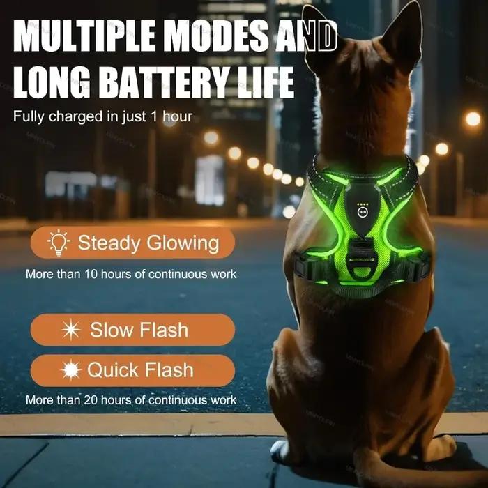 Harnais lumineux LED rechargeable pour chien gilet de sécurité pour promenade nocturne modes d'éclairage trois couleurs disponibles pour animaux de compagnie sécurité visibilité confort nocturne