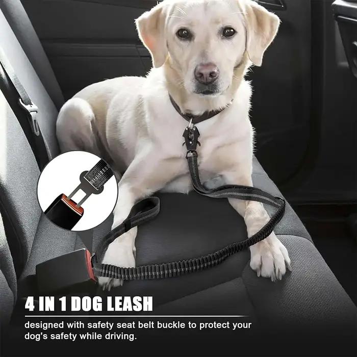 Laisse réfléchissante robuste pour chiens de grande taille élastique avec système de bungee sans traction pour promenades nocturnes et sécurisées