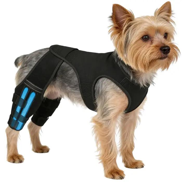 Attelle de jambe pour chien réglable avec 4 stabilisateurs métalliques – Soutien arrière pour la randonnée, l'exercice et les activités de plein air