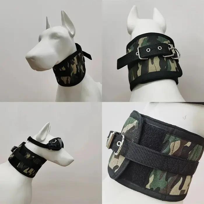 Protège-cou en forme de sanglier pour chien de chasse