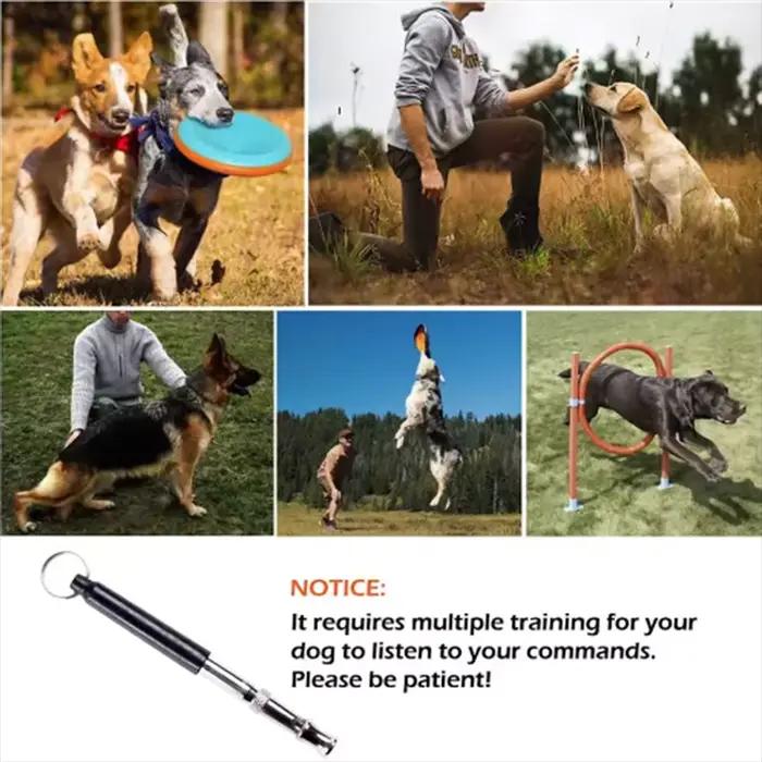 Sifflet d'entraînement ultrasonique pour flûte de chien