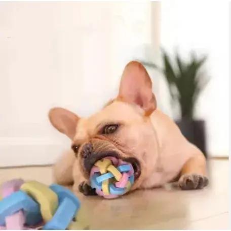 Jouet sonore en forme de macaron pour chiens et chats occasionnellement ludique et éducatif