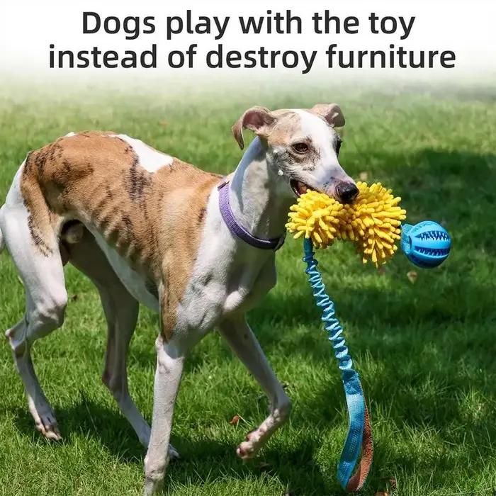 Jouet à mâcher avec élastique pour chien