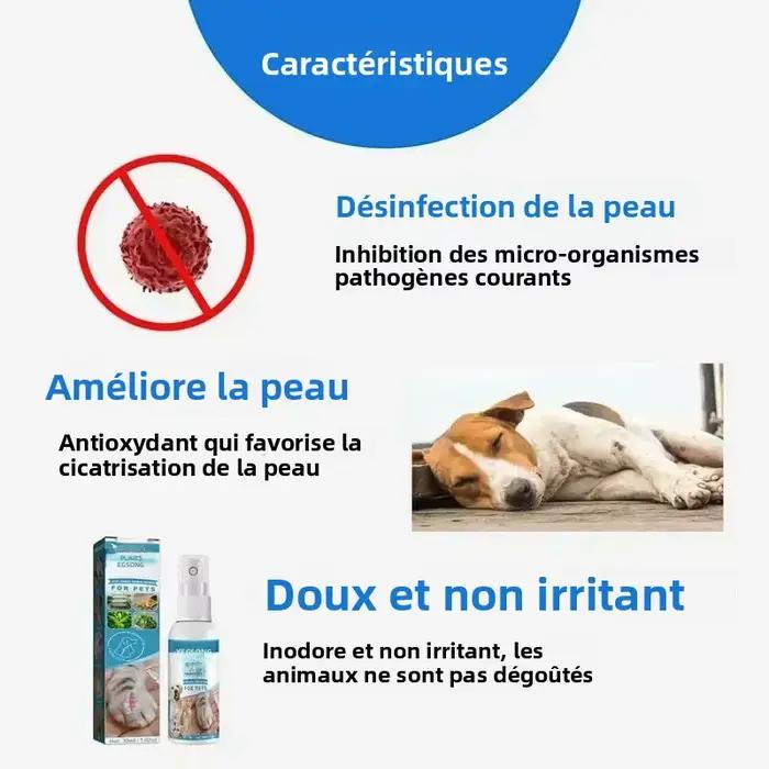 Spray naturel pour plaies d'animaux de compagnie, traitement pour éruptions cutanées, soulagement des démangeaisons, soins infirmiers pour chiens et chats