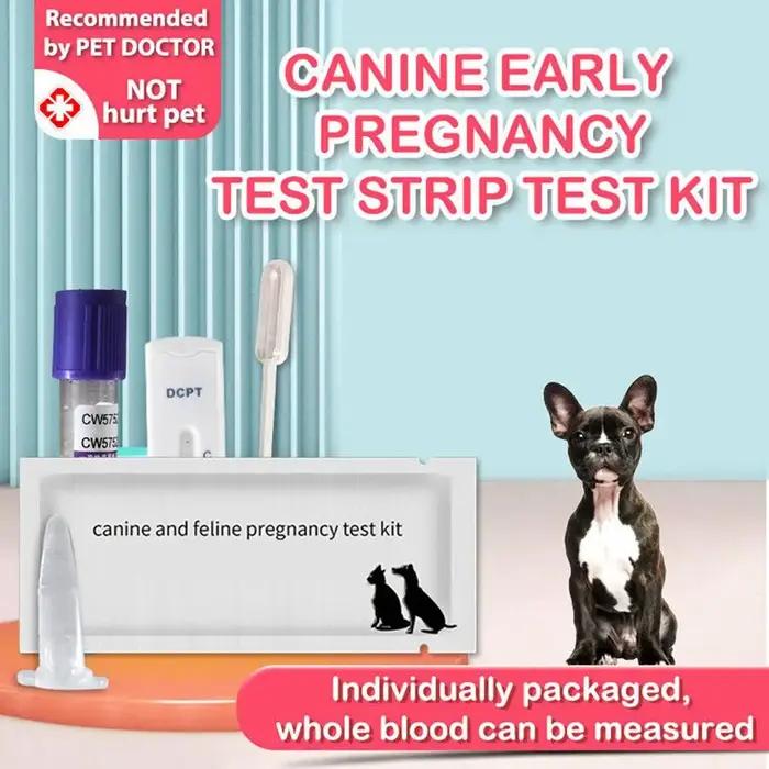 Kit de Test de Grossesse pour Chien à Usage Domestique Convient à Tous les Chiens Occasions de Surveillance de Santé Familiale et Professionnelle