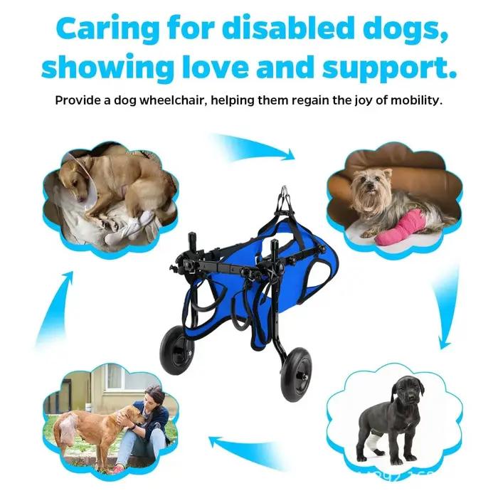 Chariot de fauteuil roulant pour chien handicapé