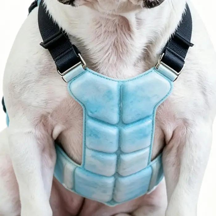 Gilet rafraîchissant pour chien