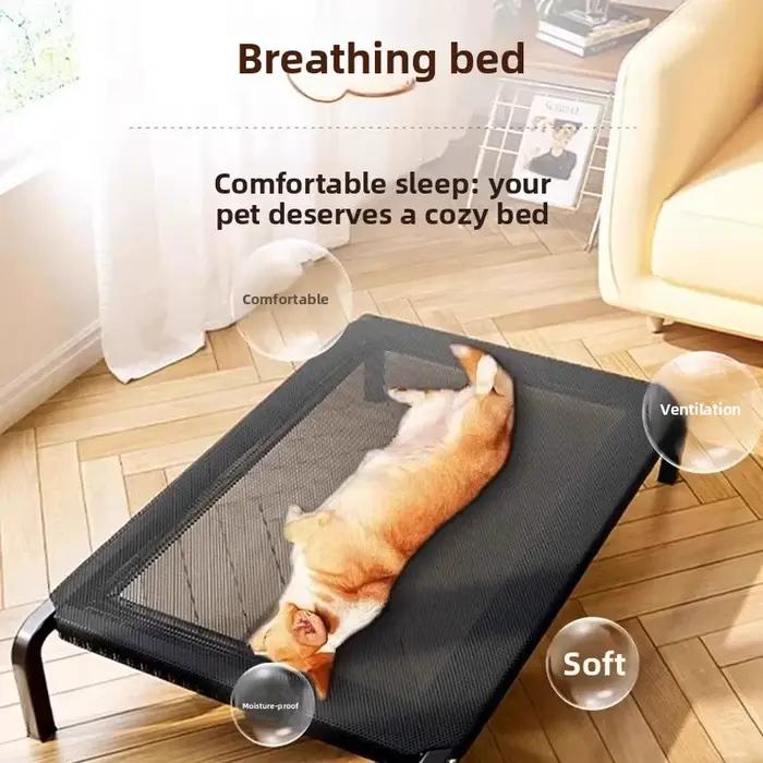 Lit surélevé pour chien robuste