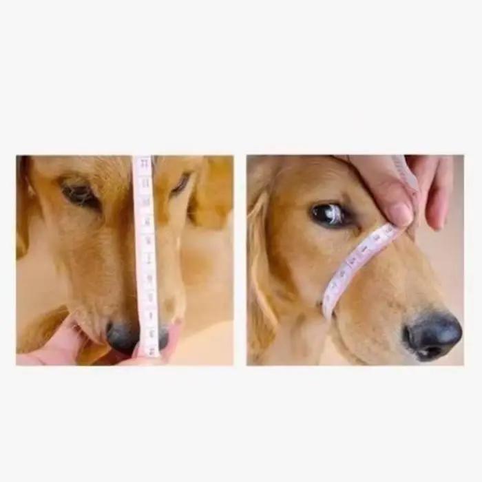 Muselière pour chien respirante en maille