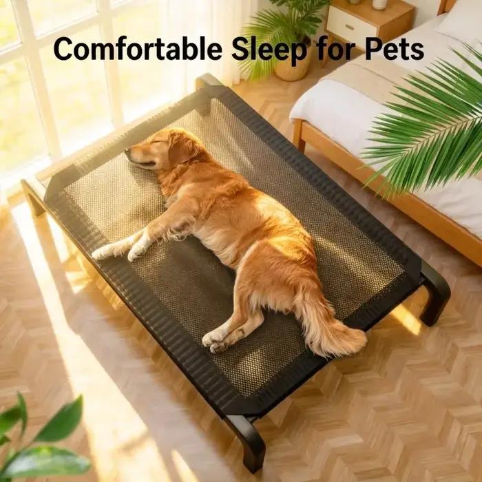 Fournitures pour animaux de compagnie : Lit pliable pour chien toutes saisons