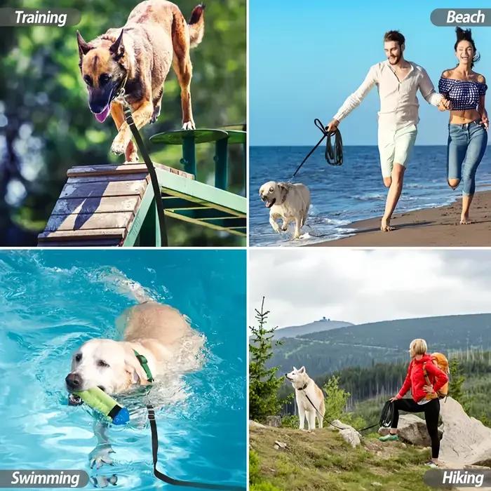 Longue laisse pour chien en nylon