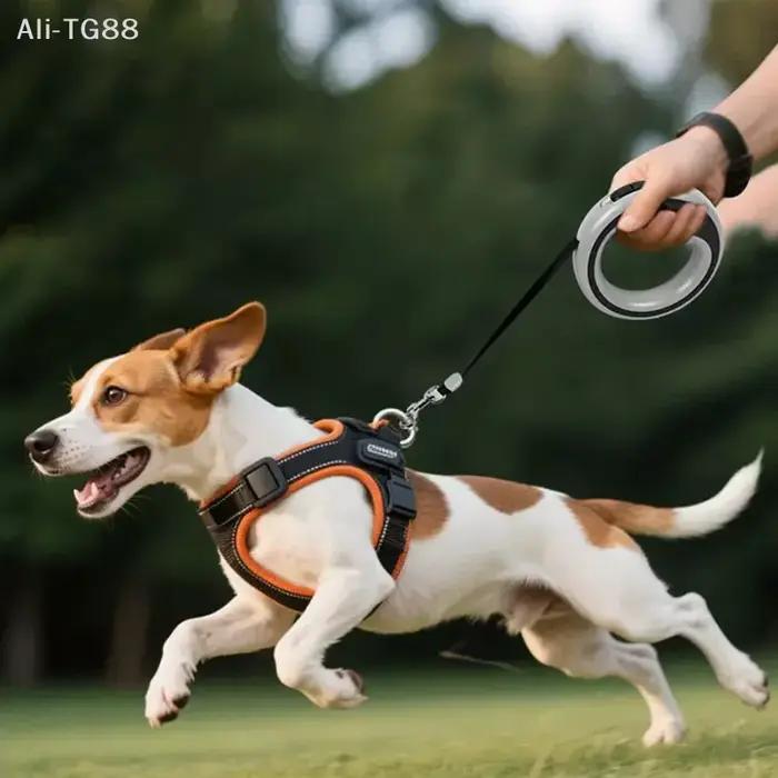 Laisse rétractable automatique pour chien 250 cm/98