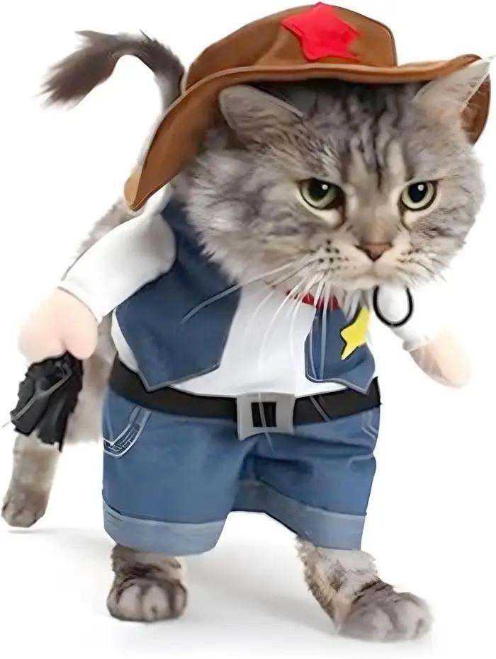 Costume de Transformation pour chien, Costume debout drôle, Cowboy Pirate, Costume de Cowboy pour ch