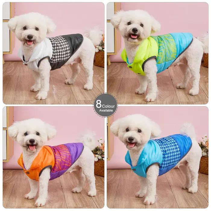 Vêtements d'hiver pour chiens