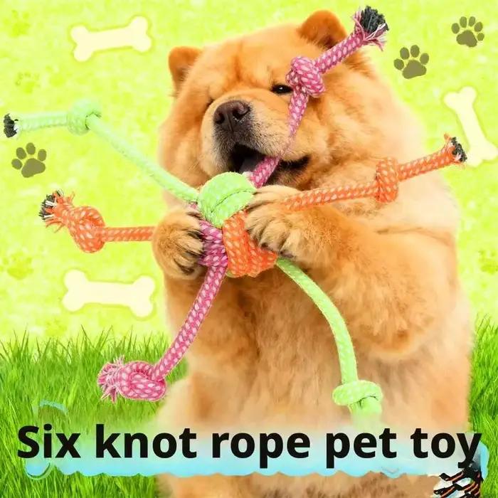 Jouet interactif durable résistant aux morsures pour chiens - Corde à mâcher avec franges vertes et orange