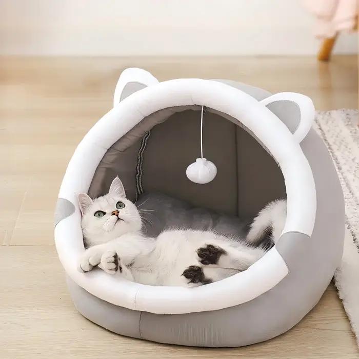 Nouvelle maison pour chat