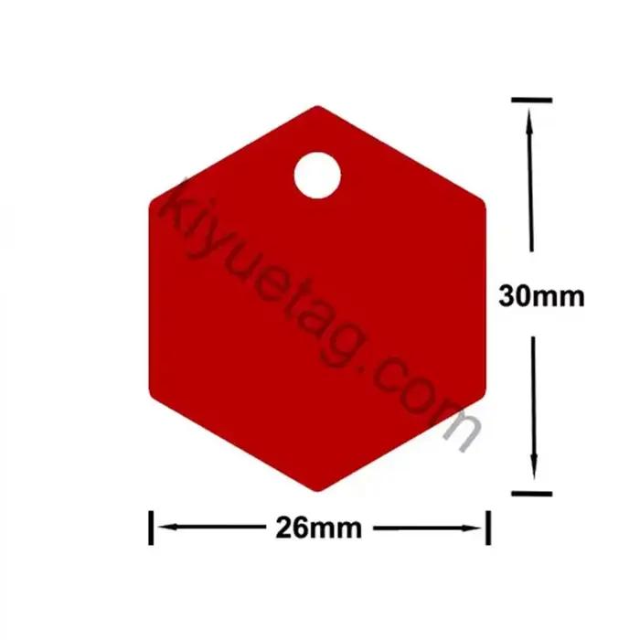 Étiquettes d'identification pour chien en aluminium personnalisées avec nom accessoire de collier pour animaux de compagnie avec pendentif nominatif pour chiot sécurité et personnalisation