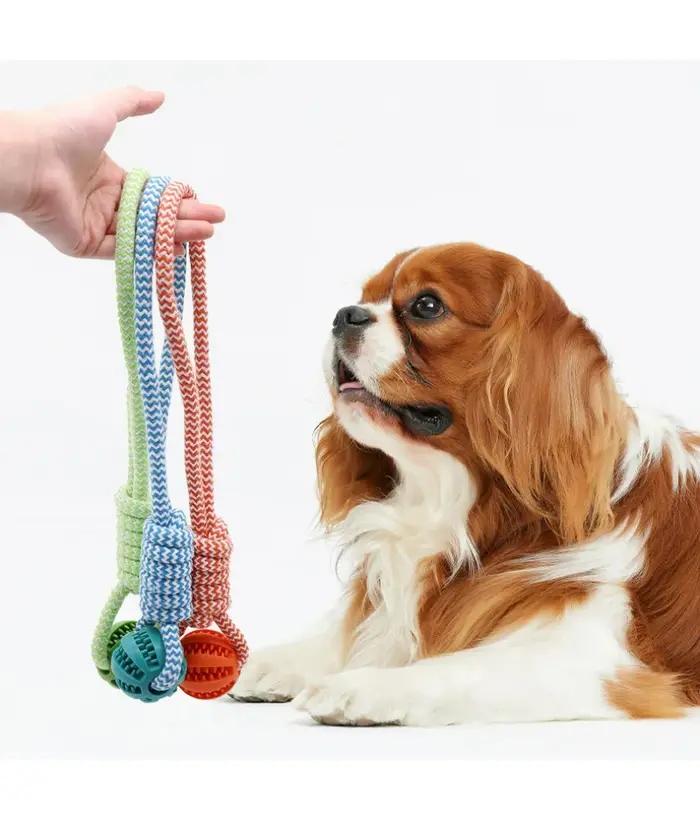 Balle de jeu pour chien avec corde pour l'alimentation