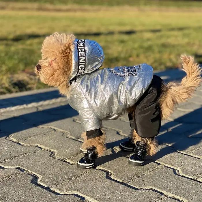 Chaussures imperméables coordonnantes pour animaux de compagnie