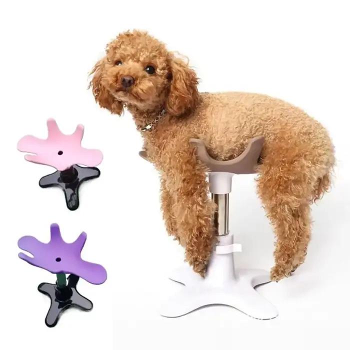 Table de toilettage pour chiens résistante à l'eau avec cadre robuste et sangles ajustables pour toilettage et bain occasions spéciales