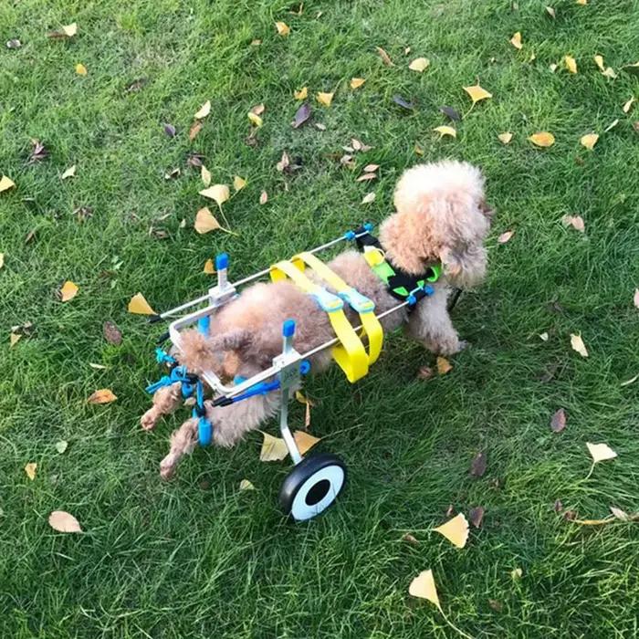 Fauteuil roulant pour chien en aluminium 2025 – Chariot de marche pour animaux de compagnie