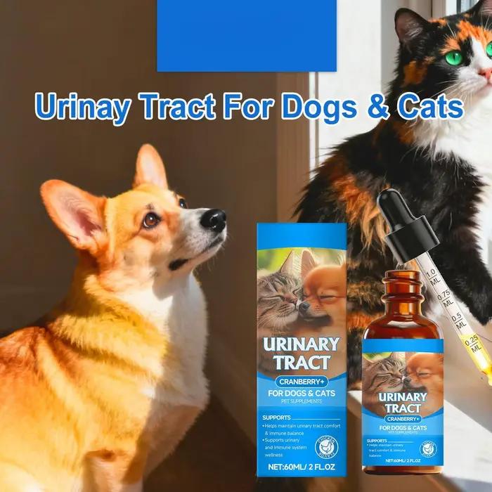 Gouttes pour la santé urinaire de chat et chien gouttes liquides aromatisées suppléments de santé pour chiens chiot petite moyenne grande race nourriture à manger à la maison