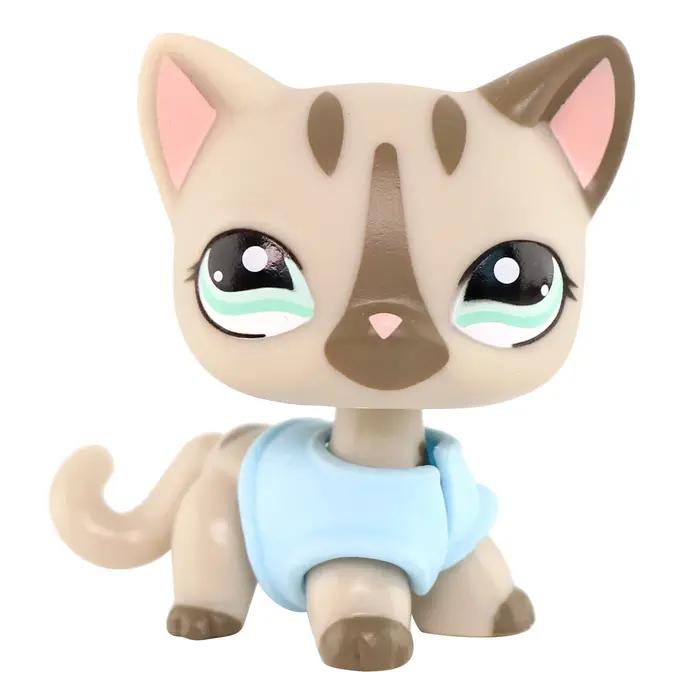 Jolis jouets plus de choix, chat à poils courts, teckel, chien, loup, renard, Collie, avec accessoires mignons, meilleur cadeau, jouet pour enfants