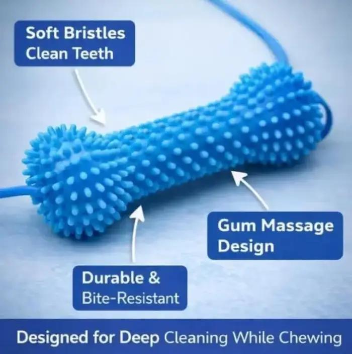 Jouet dentaire pour chien de taille moyenne brun foncé double action brossage des dents facile et jeu amusant occaions spéciales santé bucco-dentaire chiens