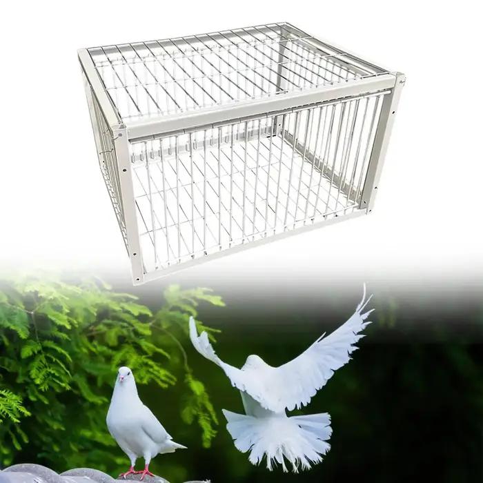 Pigeon Épais existent et Jetable, pour Course, Ferme, Garages, Fournitures HPBird