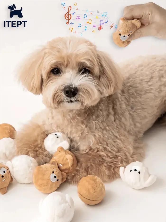 Jouet à mâcher couineur pour chien - Balle rebondissante en forme de chiot avec picots pour le nettoyage des dents, jouet interactif pour animaux de compagnie adapté aux petits chiens (Caniche/Bichon