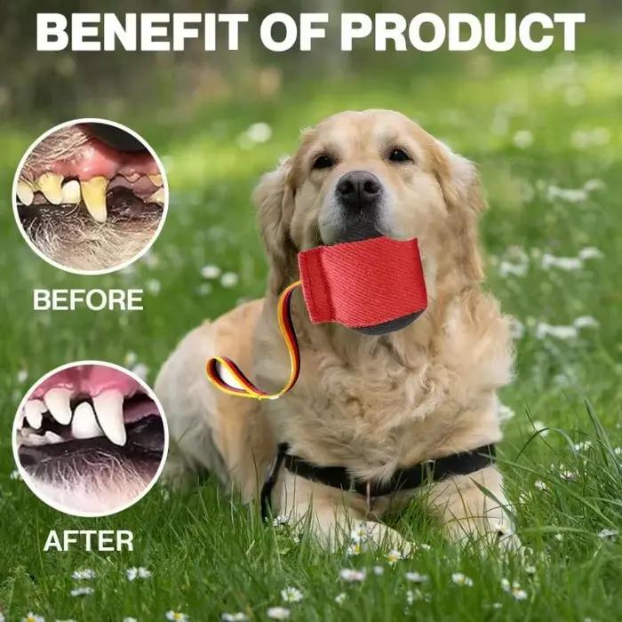 Équipement d'entraînement anti-morsure pour chien portable