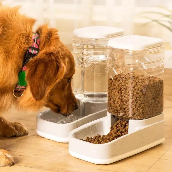 Bols d'alimentation et d'alimentation pour chat