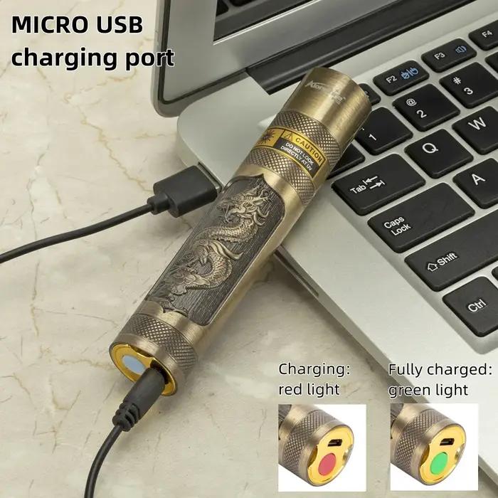 365nm UV lumière noire Rechargeable lampe de poche UV torche ultraviolette chien Urine animal de com