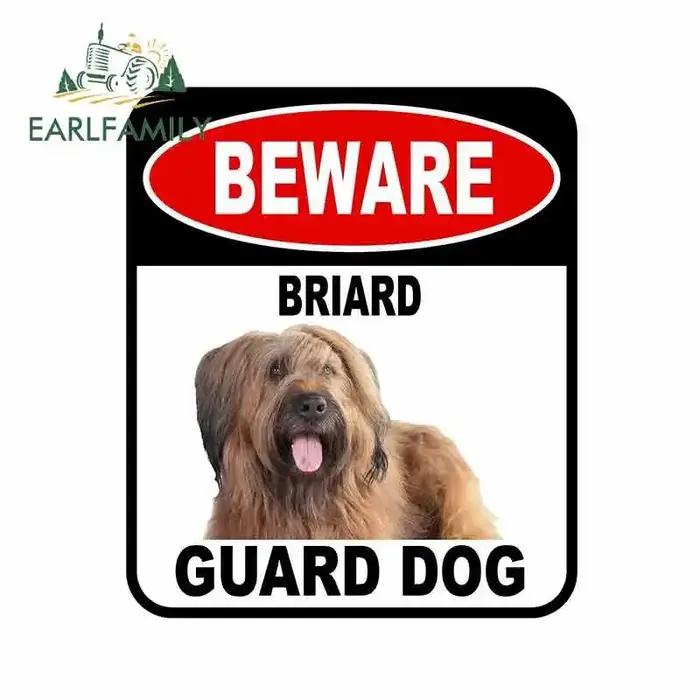 EARLFAMILY BEWARE BRIARD garde chien voiture autocollant couverture rayures Composite signe animal d