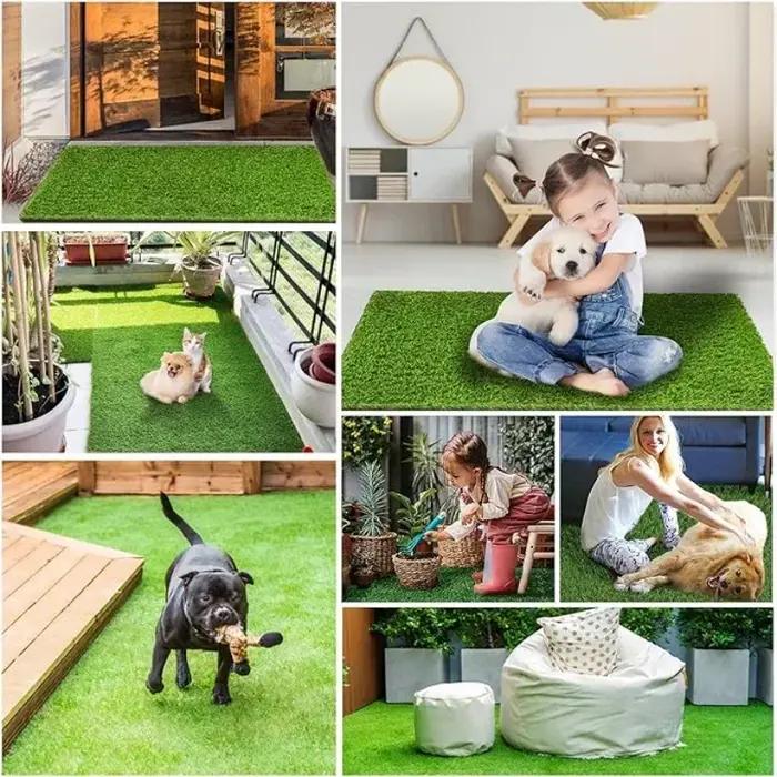 Tapis d'entraînement à la propreté lavable pour chien