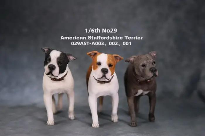 JXK Studio 1:6 Figurine de chien American Staffordshire Terrier
