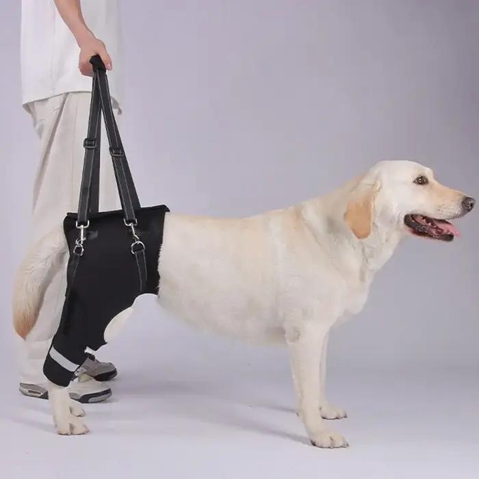 Jambes hanche soutien chien ascenseur harnais réglable noir aide aux animaux de compagnie