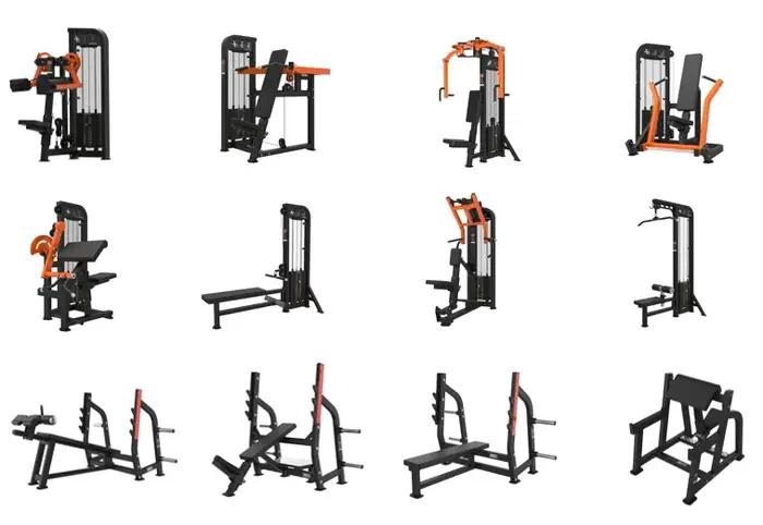 Support de boucles de bras de biceps pour l'entraînement de force de gymnastique commerciale Fitness Curl