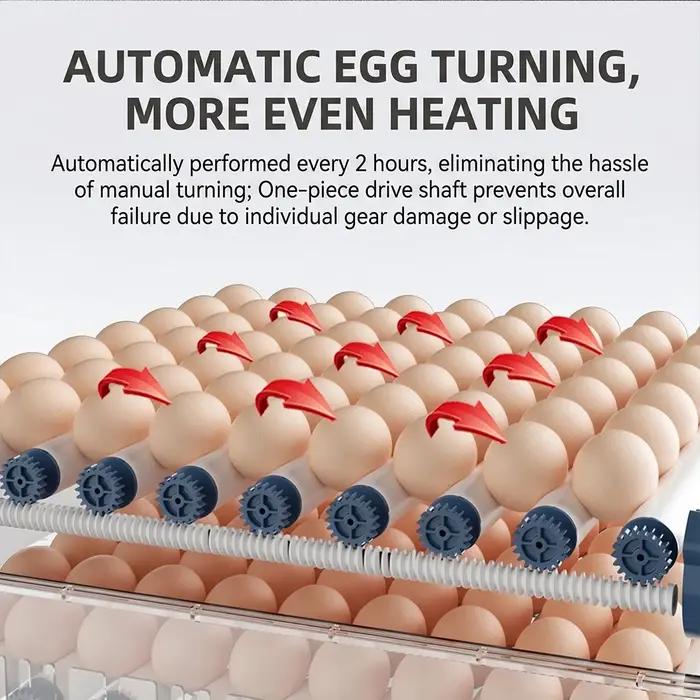 Incubateur d'œufs entièrement automatique pour volailles de ferme avec retournement automatique double alimentation électrique pour poulets oies canards et autres oiseaux occasions spéciales