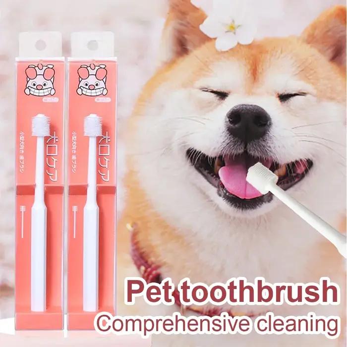 Brosse à dents de détartrage complète pour animaux de compagnie