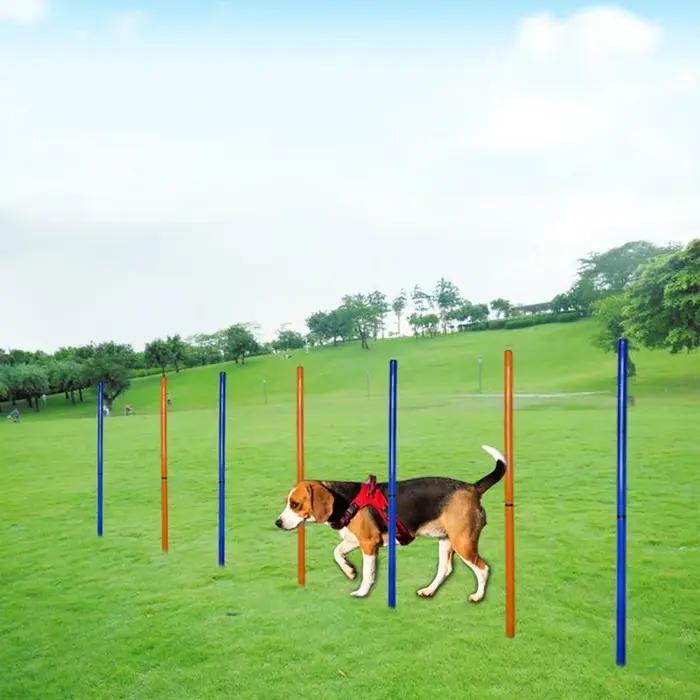 Équipement d'entraînement d'agilité pour chien, outil de saut portable pour chien, jeu de course en plein air, poteau de sport, ensemble d'équipement d'agilité pour animaux de compagnie