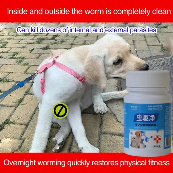 Variété de Parasites pour Animaux de Compagnie