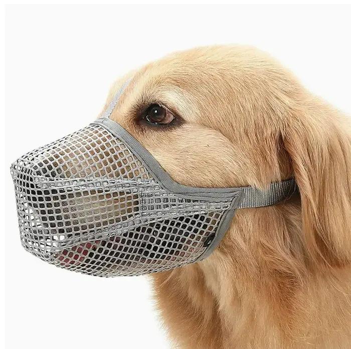Muselière en maille respirante pour grand chien