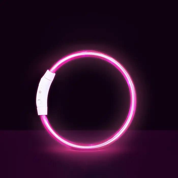 Collier lumineux LED pour chien et chat brillant anti-perte chargeur USB veilleuse pour animaux de compagnie sécurité promenades nocturnes