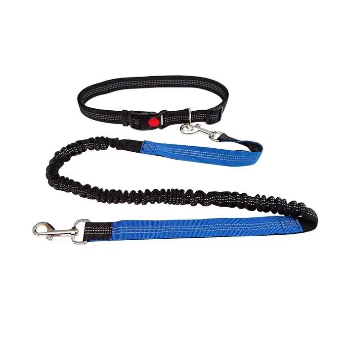 Laisse de chien mains libres pour animaux de compagnie, accessoires de marche pour chiens, course à